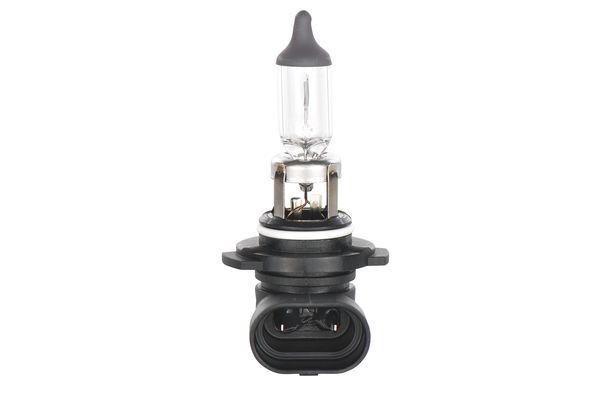 Bosch Ampul Seti 1987301101